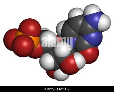 Cytidin Monophosphate (CMP, Cytidylate) RNA-Baustein-Molekül. Atome werden als Kugeln mit herkömmlichen Farbe c dargestellt. Stockfoto