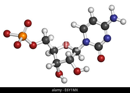 Cytidin Monophosphate (CMP, Cytidylate) RNA-Baustein-Molekül. Atome werden als Kugeln mit herkömmlichen Farbe c dargestellt. Stockfoto