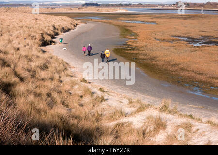 West Witterings Strand und Natur behalten Dünengebieten Gras wächst im Vordergrund, Männlichkeit Halbinsel, West sussex Stockfoto