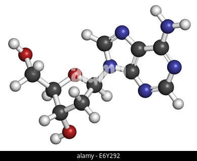 Deoxyadenosine (dA) Nukleosid-Molekül. DNA-Baustein. Atome sind als Kugeln mit konventionellen Farbcodierung vertreten: Hy Stockfoto