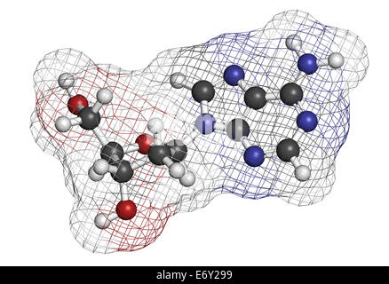 Deoxyadenosine (dA) Nukleosid-Molekül. DNA-Baustein. Atome sind als Kugeln mit konventionellen Farbcodierung vertreten: Hy Stockfoto