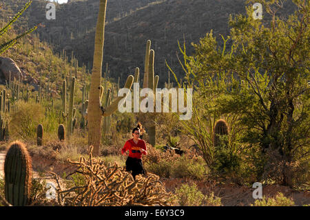 Läufer und Radfahrer Rennen auf Bajada Loop Drive im Saguaro National Park West, Sonora-Wüste, Tucson, Arizona, USA. Stockfoto