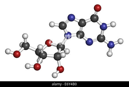 Guanosin-Purin-Nukleosid-Molekül. Wichtiger Bestandteil des BIP, GTP, cGMP, GMP und RNA. Atome sind als Kugeln mit vertreten. Stockfoto