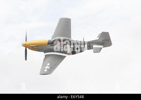 North American P - 51D Mustang "413704 / B7-H" (G-BTCD) Obwohl die Markierungen von 44-13704' malte namens "Wilder Frankie", Stockfoto