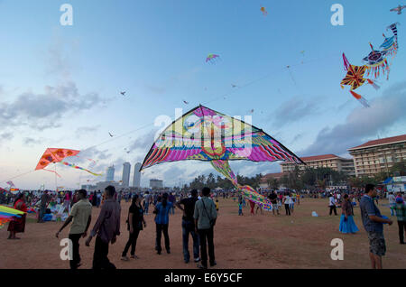 Besucher mit Kites am Abend auf Galle Face Green, Colombo, Sri Lanka, Südasien Stockfoto