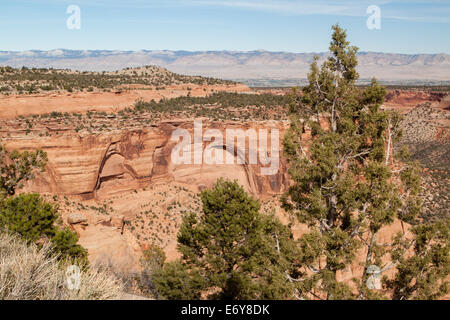 Ein Blick vom Künstler-Point in der Colorado National Monument, Colorado, USA Stockfoto