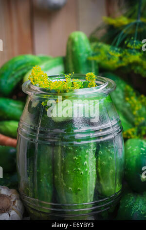 Glas mit Gurken und andere Zutaten für Beizen Stockfoto