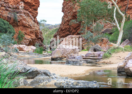 Eine teilweise Dry Creek mit sandigen Ufer mit Bäumen und Sträuchern fließt durch eine schmale Schlucht der roten Felsen, Simpsons Gap Stockfoto