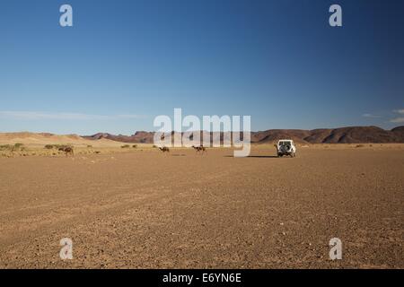 Fahren auf der Sahara Stockfoto