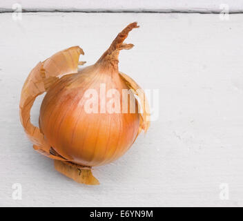 Zwiebel auf weißer Holztisch Stockfoto