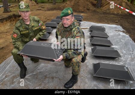 Halbe, Deutschland. 2. Sep, 2014. Major von der russischen Armee Sergej Petrowitsch (L) und Oberstleutnant der deutschen Wehrmacht Carsten Heldt tragen einen kleinen Sarg mit den sterblichen Überresten des zweiten Weltkriegs Krieges tot, bevor die Umbettung auf dem Waldfriedhof in Halbe, Deutschland, 2. September 2014. Mitarbeiter der Deutsche Kriegsgräberfürsorge aus Brandenburg haben Krieg tot aus verschiedenen Orten in Brandenburg in den vergangenen zwei Monaten erholt. Sie werden nun auf die sowjetischen Soldaten-Friedhof in Lembus und auf dem Waldfriedhof in Halbe umgebettet werden. Foto: PATRICK PLEUL/DPA/Alamy Live-Nachrichten Stockfoto