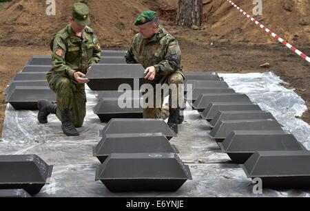 Halbe, Deutschland. 2. Sep, 2014. Major von der russischen Armee Sergej Petrowitsch (L) und Oberstleutnant der deutschen Wehrmacht Carsten Heldt tragen einen kleinen Sarg mit den sterblichen Überresten des zweiten Weltkriegs Krieges tot, bevor die Umbettung auf dem Waldfriedhof in Halbe, Deutschland, 2. September 2014. Mitarbeiter der Deutsche Kriegsgräberfürsorge aus Brandenburg haben Krieg tot aus verschiedenen Orten in Brandenburg in den vergangenen zwei Monaten erholt. Sie werden nun auf die sowjetischen Soldaten-Friedhof in Lembus und auf dem Waldfriedhof in Halbe umgebettet werden. Foto: PATRICK PLEUL/DPA/Alamy Live-Nachrichten Stockfoto