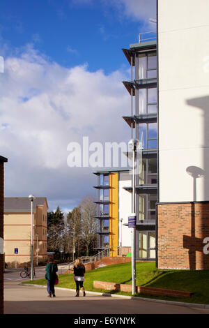 Birks Hall University of Exeter Exeter. Willmore Iles Architekten haben eine große Entwicklung der studentisches Wohnen am abgeschlossen. Stockfoto