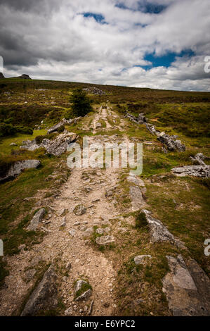 Granit-Straßenbahn-Schienen Haytor Steinbruch im Dartmoor National Park, Devon, UK Stockfoto