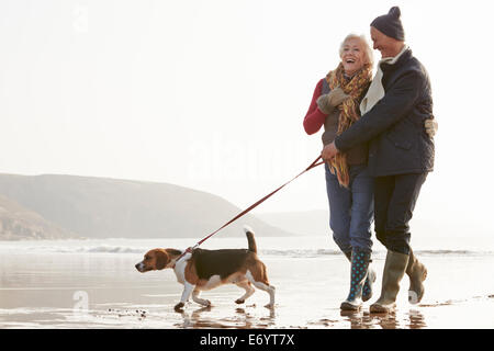 Älteres paar Winter Strand entlang mit Hund Stockfoto