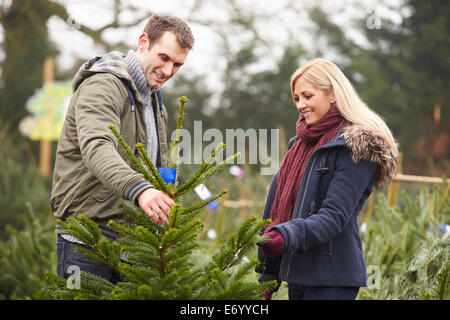 Outdoor-paar Weihnachtsbaum gemeinsam auswählen Stockfoto