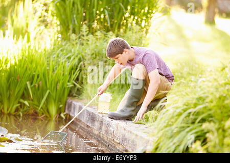 Jungen Fischen im Teich mit Netz und Glas Stockfoto