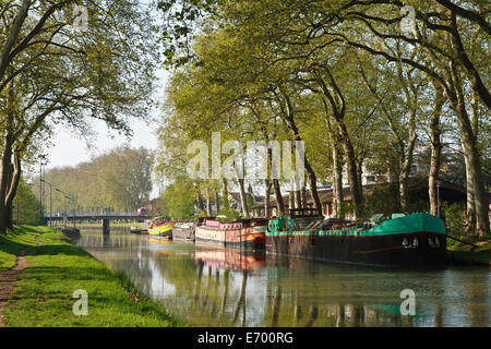 Frankreich, Toulouse, Canal du Midi, Stockfoto