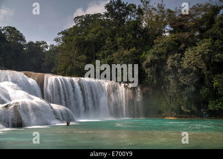 Mexiko, Chiapas, in der Nähe von Palenque, Rio gewählt, Agua Azul de Nacional Parque Stockfoto