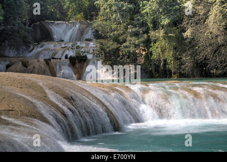 Mexiko, Chiapas, in der Nähe von Palenque, Rio gewählt, Agua Azul de Nacional Parque Stockfoto