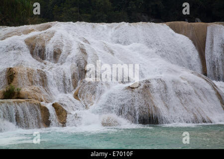 Mexiko, Chiapas, in der Nähe von Palenque, Rio gewählt, Parque Nacional de Agua Azul, Buttern Kaskaden Stockfoto