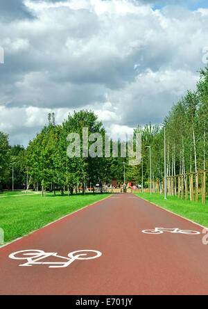 Straße für Fahrräder im sonnigen park Stockfoto