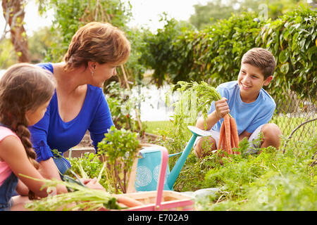 Großmutter mit Enkel arbeiten auf Zuteilung Stockfoto