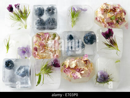 Blüten und Früchte in Eiswürfeln gefroren Stockfoto