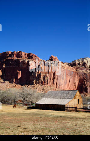 USA, Utah, Capitol Reef National Park, historische Gifford Homestead Scheune (1908) Stockfoto