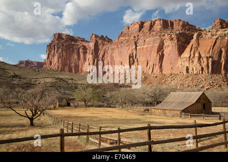 USA, Utah, Capitol Reef National Park, historische Gifford Homestead Scheune (1908) Stockfoto