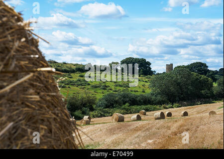 Vor kurzem geerntet Strohballen. Hadleigh Castle, Essex, im Hintergrund. Stockfoto