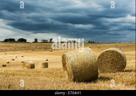 Gewitterwolken über kürzlich geernteten Strohballen zu bauen. Stockfoto