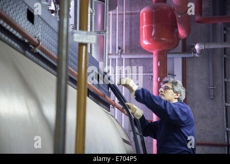 Ingenieur, die Treppenstufen im Kraftwerk Stockfoto