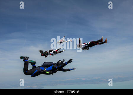 Vier junge Erwachsene männliche Fallschirmspringer frei fallend, Siofok, Somogy, Ungarn Stockfoto