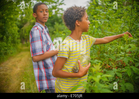 Jungen Beeren pflücken Stockfoto