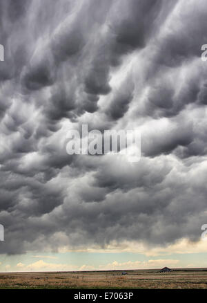 Mammatus Wolken hängen am Himmel über ländlichen Bauernhof, Cheyenne Wells, Colorado, USA Stockfoto