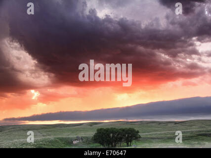 Roll Cloud hängt niedrig in der Ferne mit Sonnenuntergang Farben reflektieren anhaltenden Sturm Konvektion, Lexington, Nebraska, USA Stockfoto