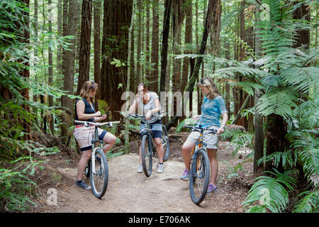 Drei Mitte Erwachsenfrauen Mountainbiker mit Smartphones im Wald Stockfoto