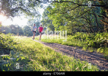 Zwei junge Frauen Läufer entlang Wald zu verfolgen, morgen Stockfoto