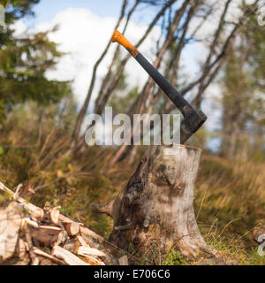 Axt im Baumstumpf stecken Stockfoto