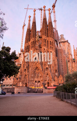 Sagrada Familia von Antoni Gaudi bei Sonnenaufgang in Barcelona, Katalonien, Spanien. Stockfoto