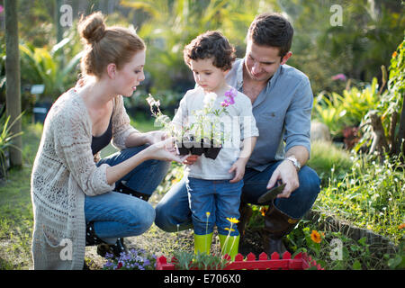 Paar und Sohn betrachten Pflanzen auf Zuteilung Stockfoto