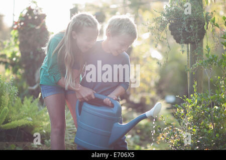 Bruder und Schwester, die Bewässerung von Pflanzen auf Zuteilung Stockfoto