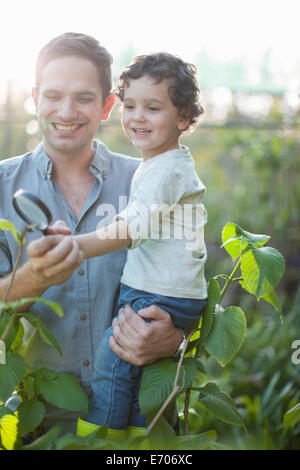 Mitte erwachsener Mann und Sohn betrachten Pflanzen auf Zuteilung Stockfoto