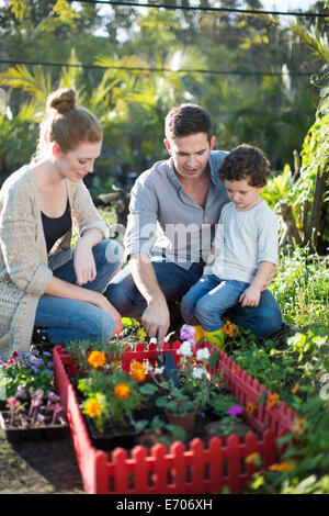 Paar und Sohn mit Miniaturgarten auf Zuteilung Stockfoto