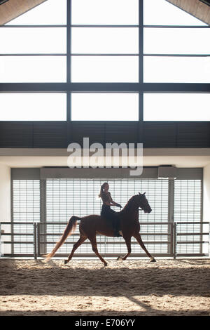 Mitte Erwachsene Frau Trab auf rotes Pferd im indoor-paddock Stockfoto