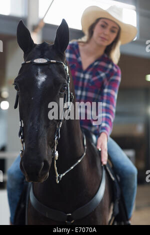 Junge Frau Reiterin tätschelte Pferd auf indoor Koppel Stockfoto