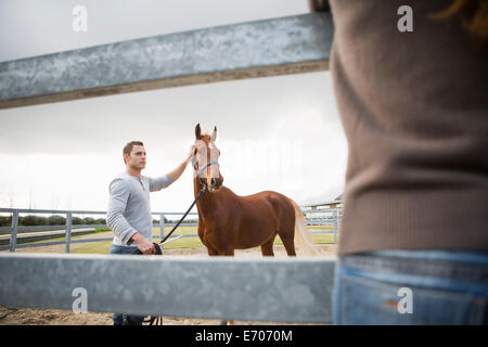 Junge Frau, die gerade Stallknecht mit Pferd im Fahrerlager ring Stockfoto