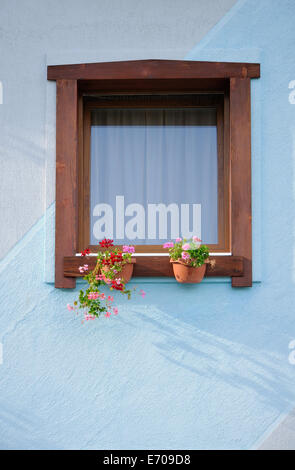 Holzfenster mit Geranien Blumen in blauen Wand Stockfoto