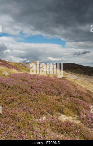 Das alte ruiniert führen Minenarbeiten an Kapitulation Brücke im Swaledale, North Yorkshire sind deutlich durch die Sonne. Stockfoto